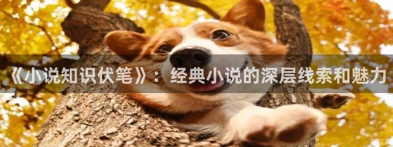 七猫小说网站入口